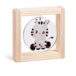 Ξύλινο καδράκι με plexiglass, θέμα baby ζέβρα